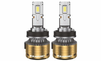 Blaupunkt LED 5X PRO - YEL - H8-H16-H11